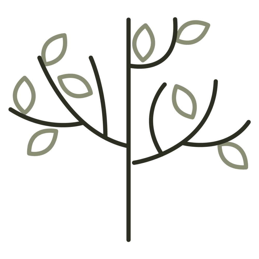 logo M Pister