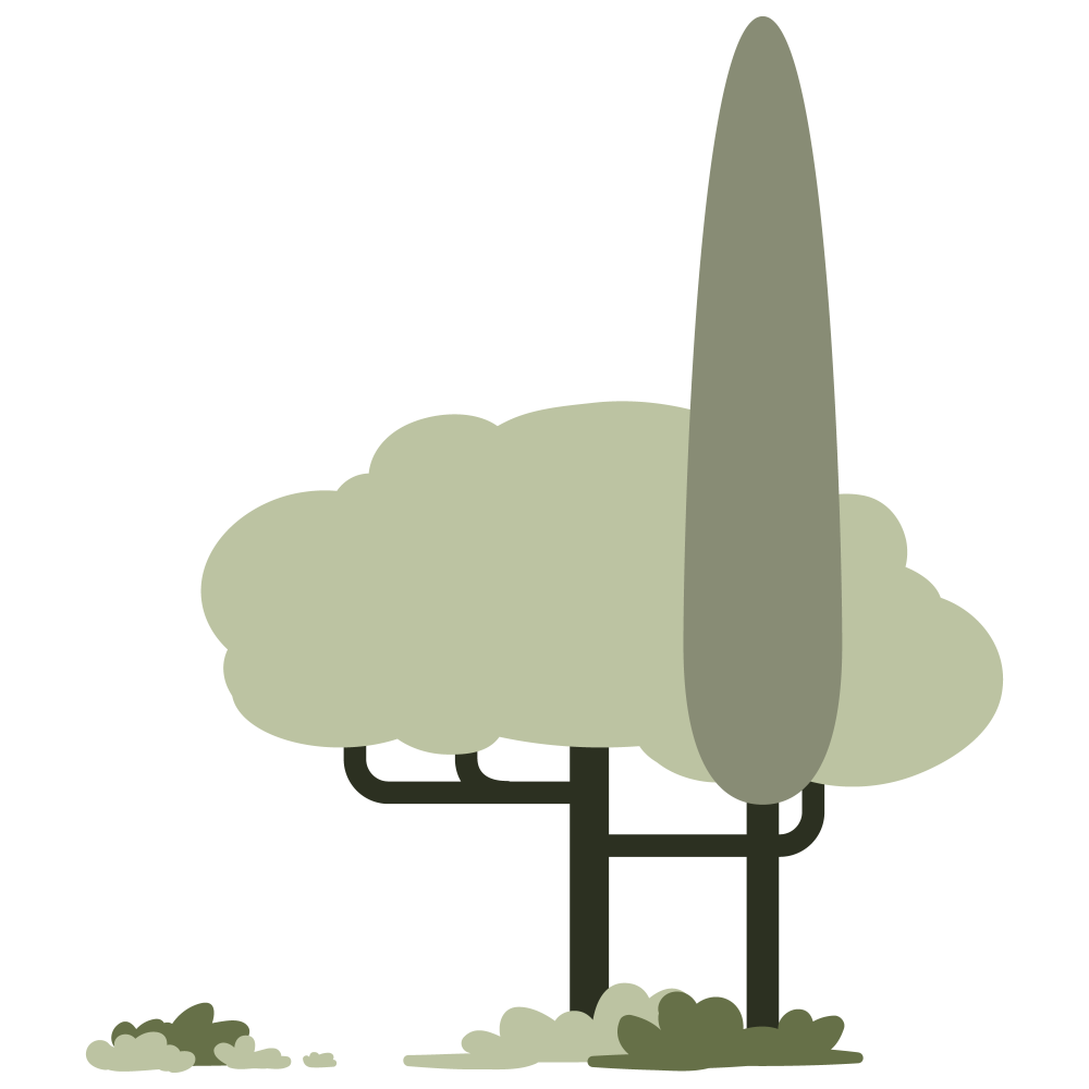 Illustrations d'arbres